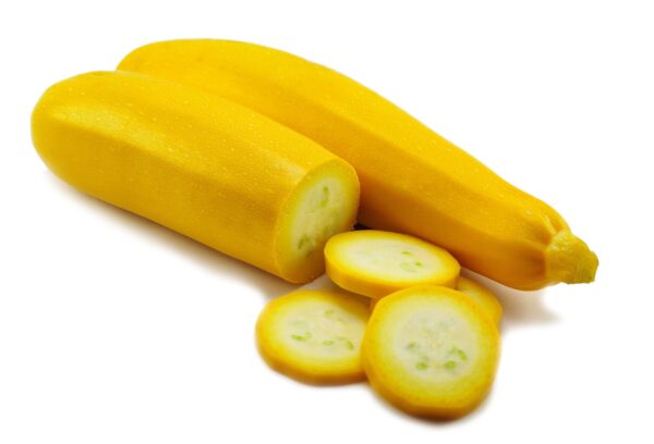 Zucchini Amarillo x Lb