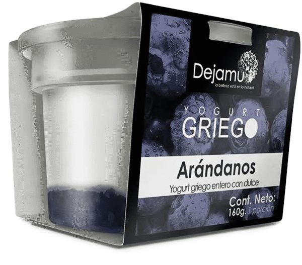 Yogurt Griego Dejamu Arándanos x 160g