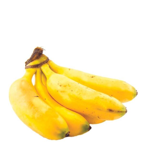 Banano Bocadillo x Lb