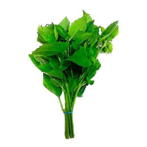 Und Atado de Guascas