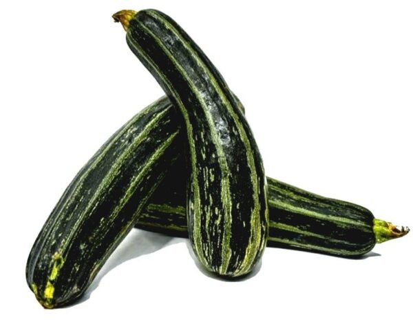 Calabacin Verde x Lb