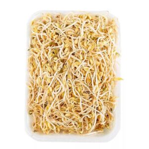 Bandeja de Raices Chinas