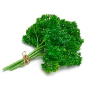Und Atado de Perejil Crespo