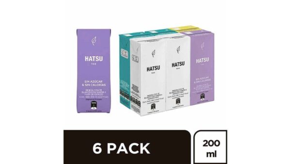 Tea Hatsu Sabores Surtidos Six Pack 6 und x200ml c/u
