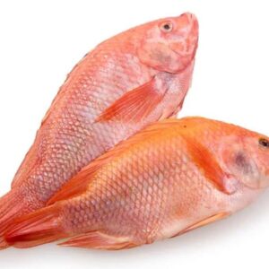 Mojarra al vacío x Lb