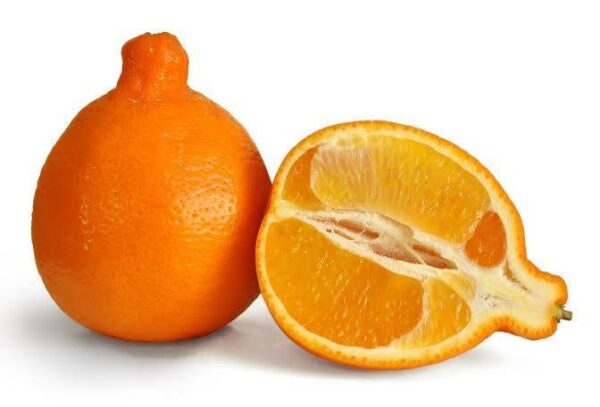 Naranja Tangelo x Lb