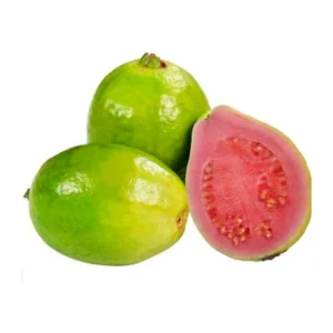 Guayaba Pera x Lb