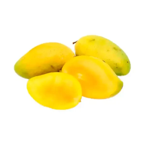 Mango Común x Lb
