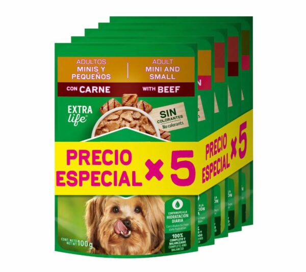 Comida Humeda Para Perro DOG CHOW Pouch Surtido 5undx100gr