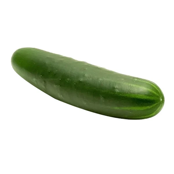 Pepino Cohombro x Lb