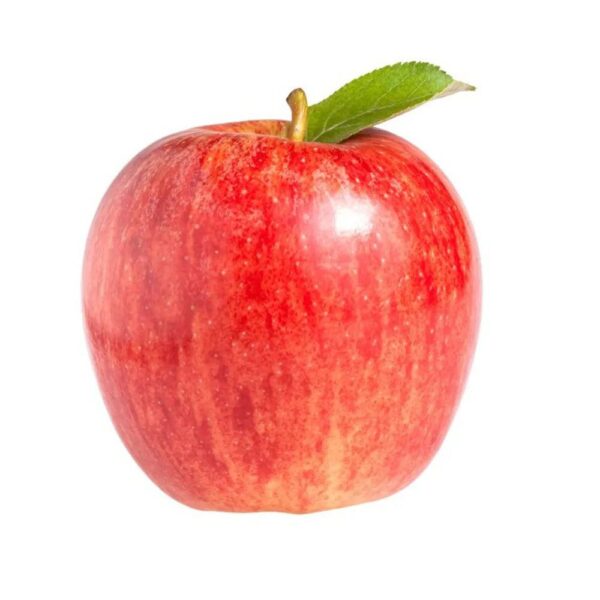 Und Manzana Royal
